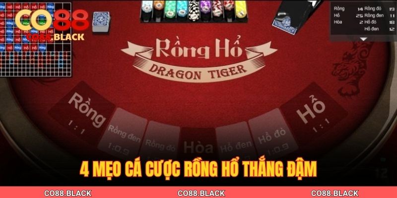 4 mẹo cá cược Rồng Hổ thắng đậm