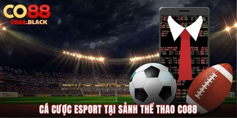 Cá cược esport tại sảnh thể thao CO88