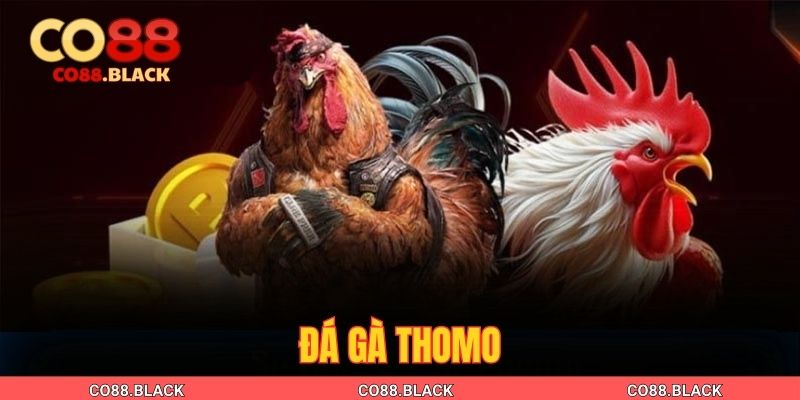 Đá Gà Thomo| Luật Cược & 3 Bí Kíp Cá Cược Ăn Đậm 2025