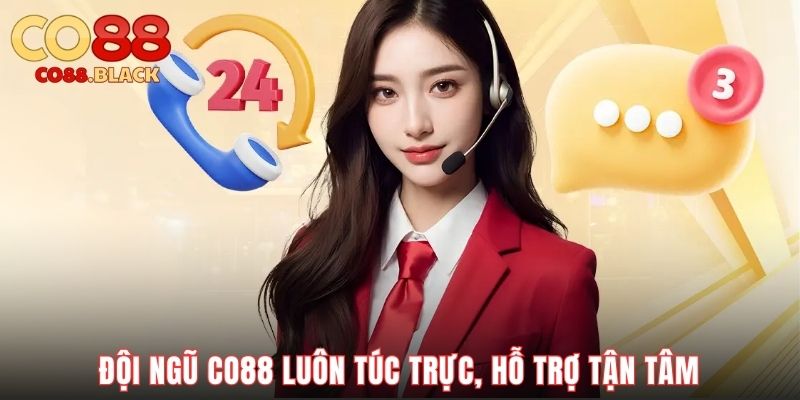 Đội ngũ CO88 luôn túc trực, hỗ trợ tận tâm