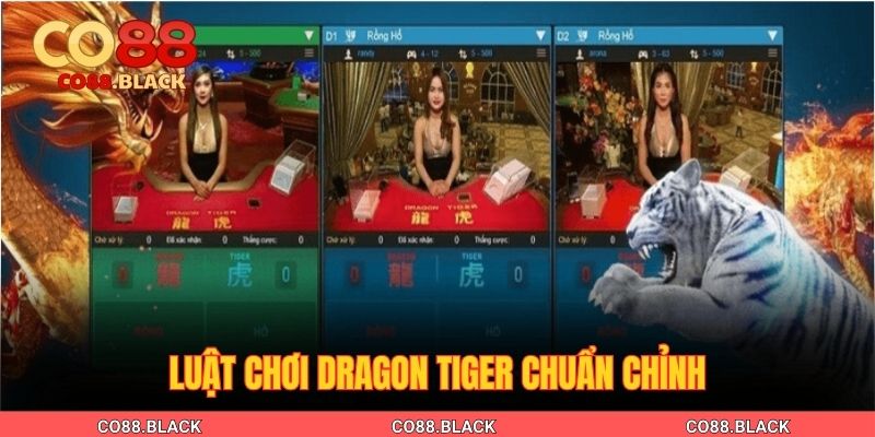 Luật chơi Dragon Tiger chuẩn chỉnh
