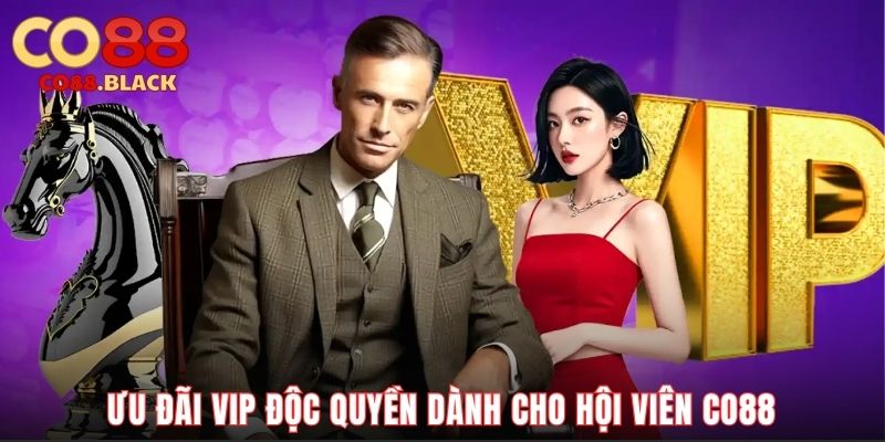Đại lý nhà cái nhận hỗ trợ phát triển toàn diện